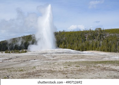 Geyser In Yellowstone National Park, Wyoming