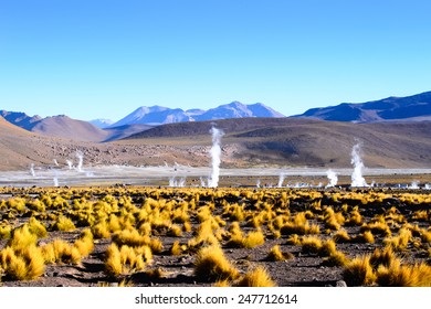 Geysers Of The Atacama Desert Of Atacama, Chile