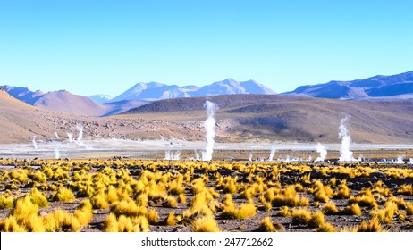 Geysers Of The Atacama Desert Of Atacama, Chile
