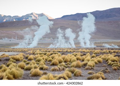 Geysers Del Tatio, San Pedro De Atacama Chile