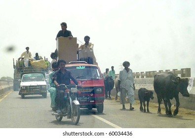 GHARO, PAKISTAN - AUG 27: People travel with their household belongings on vehicles as they move towards safe place after flood warning in their area on August 27, 2010 in Gharo.