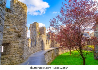 Ghent, Belgium, Inner Yard Of Gravensteen Or Castle Of The Counts, Spring Trees Panorama