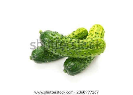 Gherkin cucumber on a white background Foto stock © 