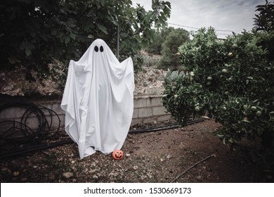 Ghost Covered With A White Ghost Sheet On A Forest. Halloween Concept