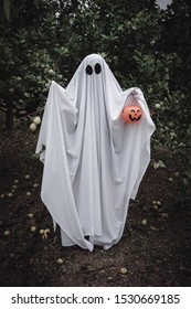 3,899 Sheet Ghost Stock Photos, Images & Photography | Shutterstock