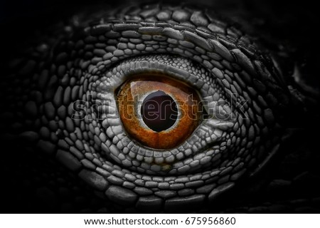 Ghost eye, Eyes of horror, Eyes of devil, Eyes of evil or Eyes of monster Included horror,thriller,freaky and mystery from all over the world into this eye.Concepts for horror festival like Halloween.
