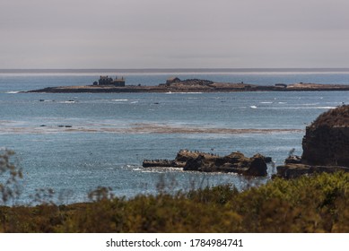 Ghost Island With Abandoned Structures At Año Nuevo State Park, California