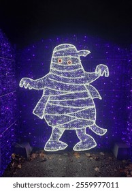 Ghost ligths in lumina park hungary