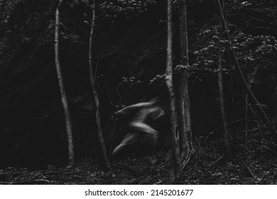 A Ghost Running Through The Forest