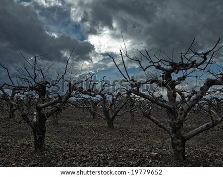 Ghostly trees