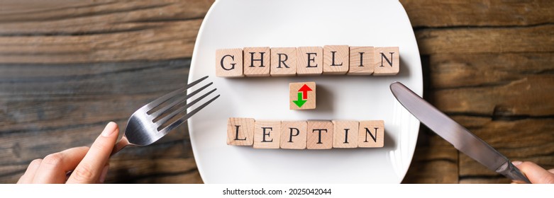 Ghrelin And Leptin Hunger Hormons. Diet And Energy