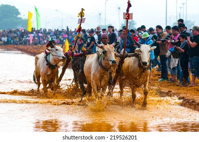AN GIANG, VIETNAM, NOV 2, 2013: Khmer cow racing festival on Nov 2, 2013 in An Giang, Vietnam. This event is celebrated annually on the last day of the Khmer calendar. 