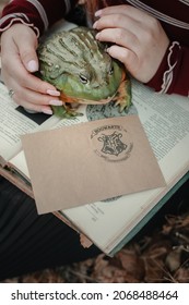 Giant African Bullfrog (Pyxicephalus Adspersus). African Bullfrog With Old Book And Letter From Hogwarts. Harry Potter. Cosplay With Wild Exotic Animal. Reptile. - KYIV, UKRAINE 10.30.2021