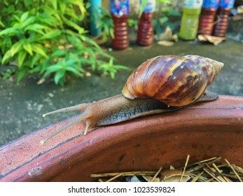 Big Green Jardiniere High Res Stock Images Shutterstock