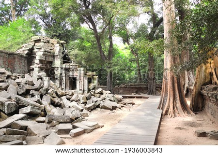 Giant banyan tree and ruins of khmer ancient temple, Angkor Wat (Angkor Thom) complex, Siem reap, Cambodia, Indochina. UNESCO world heritage Site