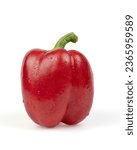 Giant bell peppers are bright red with water droplets on them. Isolated from the white background.