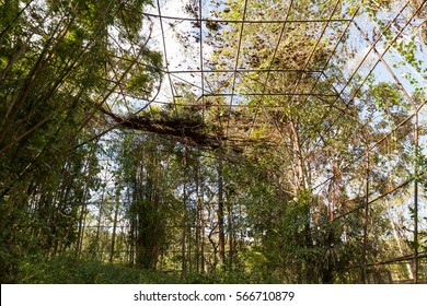 Giant bird aviary abandoned and deserted, overgrown with strange vines and forgotten by man, giant rusty cage overtaken with plants and covered with weeds