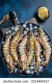 Giant Black Tiger Prawns Shrimps On A Plate With Ice. Raw Seafood. Blue Background. Top View.