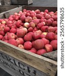 Giant box of apples at the cider mill