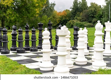 Giant Chess Pieces On A Background Of Nature.