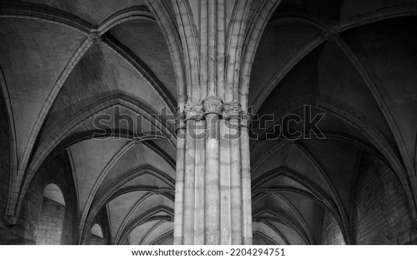 \
Giant column in\
the The Popes\'s Palace of Avignon\
(Palais des Papes) medieval\
gothic great audience\
room.\

