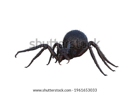 Giant fantasy monster spiderrecolied ready to pounce. 3D illustration isolated on a white background.