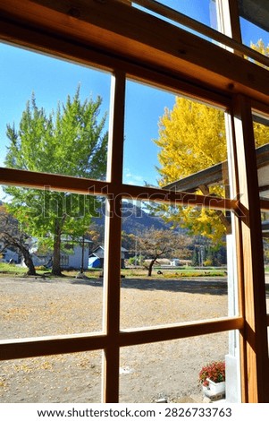 Giant Ginkgo Tree Viewed Through Kuimaru School Windows