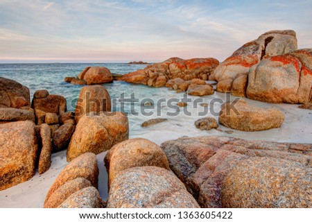 The giant granite rock boulders covered in orange and red lichen at the Bay of Fires in Tasmania, Australia look like the rocks are on fire