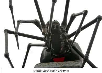 Giant Haunted House Spider
