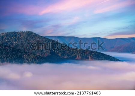 Giant mountains covered with lush coniferous forests surrounded by heavy fog in gorge under blue sky with light pink clouds in autumn