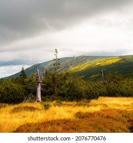 Giant Mountains (Karkonosze) Autumn Landscape