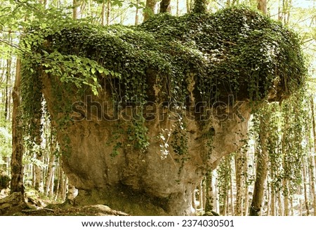 giant natural vase, big stone with vegetation ferns and trees in enchanted forest, very visited nature tourism in natural park of Urbasa Navarre Spain. High quality photo