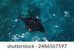 Giant oceanic manta ray swims in ocean. Mobula birostris slowly swims underwater at Manta Point near Nusa Penida island. Bali, Indonesia