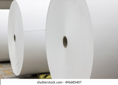 Giant Paper Rolls