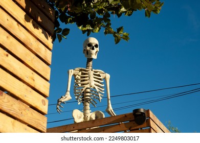 Giant plastic Halloween skeleton in front yard looking big and spooky - Powered by Shutterstock