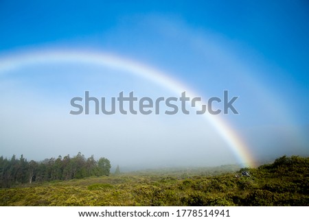 Giant Rainbow on Goggy Forest