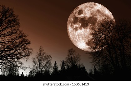 giant red moon rise over dark northern forest - Powered by Shutterstock