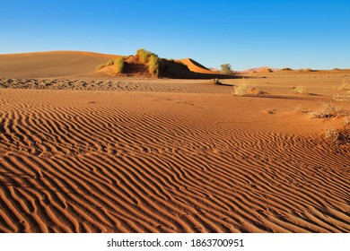 giant red sand dunes in Sossusvlei Namib Desert - Namib-Naukluft National Park, Namibia, Africa - Shutterstock ID 1863700951