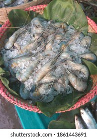 Giant River Prawns In  Bamboo Basket With Ice Cube.