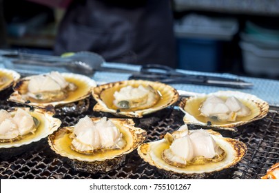 giant scallop