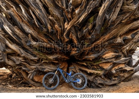 Giant Sequoia Root - An electric-bike standing against a huge root of a fallen Giant Sequoia tree. Sequoia and Kings Canyon National Park, California, USA.