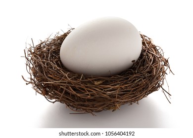 Giant Size Egg On A Nest On White Background