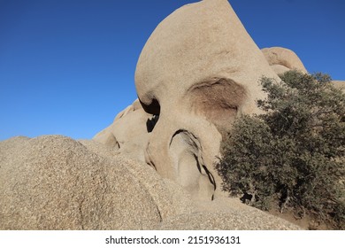 Giant Skull Rock In Joshua Tree