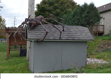 A Giant Spider On Top Of A Shed 