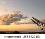 Giant squids through the ocean  showering in the sunset at National Museum of Marine Biology and Aquarium, Pingtung County, Taiwan.