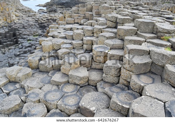 [Image: giant-steps-northern-ireland-600w-642676267.jpg]