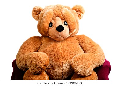 20 foot teddy bear