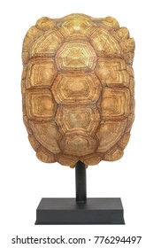 Giant Tortoise Shell, Texture of Turtle carapace. Beautiful, charming, mysterious old, For interior decoration.