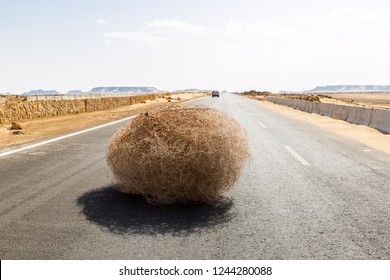 Giant tumbleweed on the highway with sandy dunes, between el-Bahariya oasis and Al Farafra oasis, Western Desert of Egypt, between Giza governorate and New Valley Governorate, near White Desert - Powered by Shutterstock