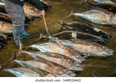 26,016 Fish Market Japan Images, Stock Photos & Vectors | Shutterstock